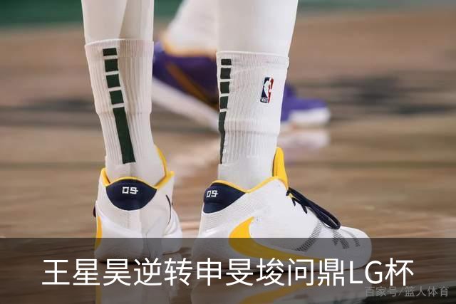 王星昊逆转申旻埈问鼎LG杯